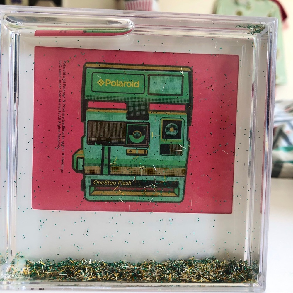 Polaroid snow globe pic